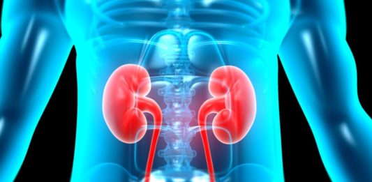 χημικά σκοτώνουν