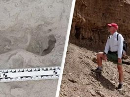 απολιθώματα Κένυα ίχνη ανακάλυψη