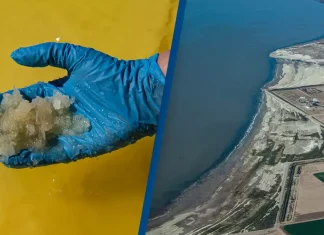 λευκός χρυσός