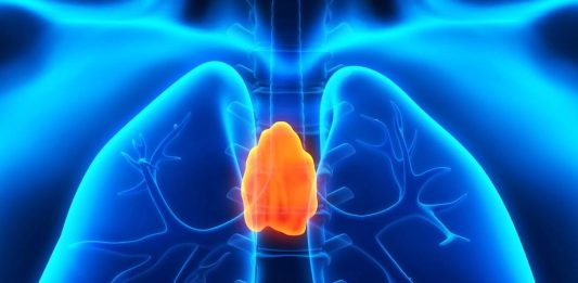 θύμος αδένας