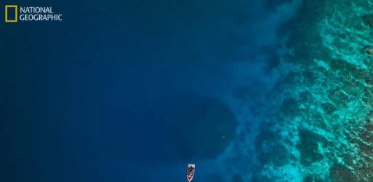 αποικία κοράλλια τεράστια