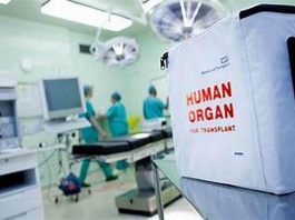 Τα όργανα από μεταμόσχευση μπορούν να μεταφέρουν μνήμες; – Αποκαλυπτική έρευνα! μεταμόσχευση καρδιάς μνήμες όργανα