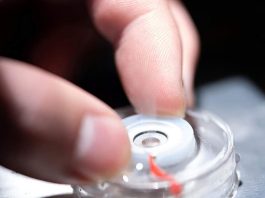 Ανακάλυψαν ένα περίεργο φαινόμενο με το νερό που λύνει μυστήριο 80 ετών