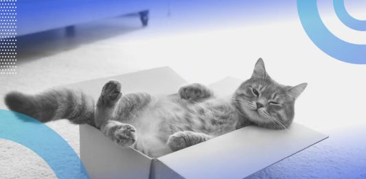 Έλυσαν το Παράδοξο της γάτας του Schrödinger με το πολυσύμπαν!