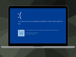 Windows 11 24H2