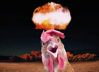 πυρηνική βόμβα κοτόπουλα