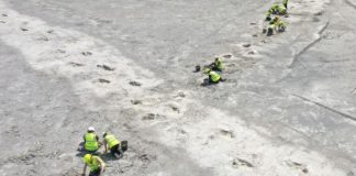 δεινόσαυροι ίχνη αποτυπώματα Βρετανία