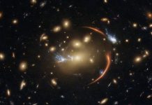 Phoenix Cluster αστέρια