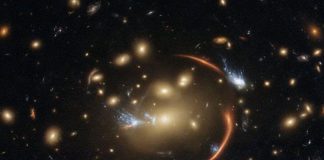 Phoenix Cluster αστέρια