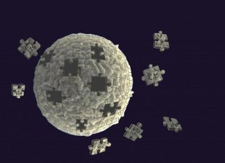 ζύμη συνθετική ζωή