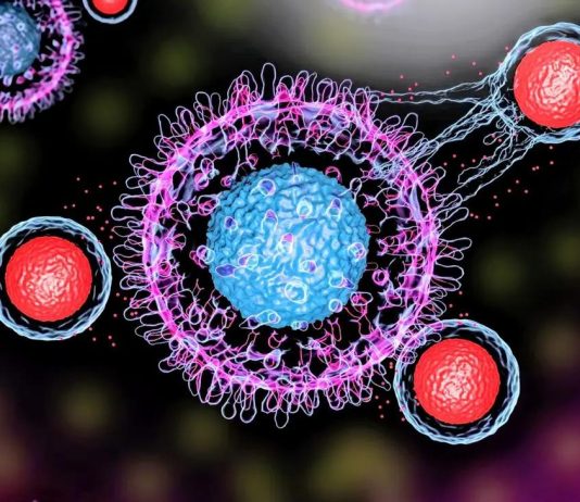 μοντέλο γονίδια καρκίνος