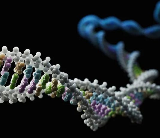 γονίδια μέθοδος επιγενετική