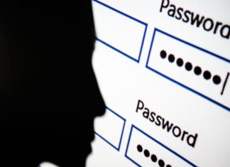 passwords dark web