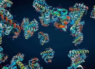 πεπτίδιο BRP πρωτεΐνη όρεξη