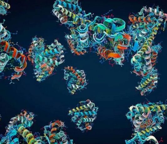 πεπτίδιο BRP πρωτεΐνη όρεξη