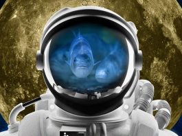 ιχθυοκαλλιέργειες Σελήνη