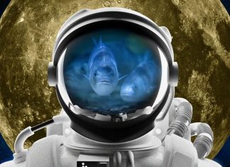 ιχθυοκαλλιέργειες Σελήνη