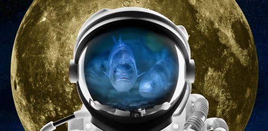 ιχθυοκαλλιέργειες Σελήνη