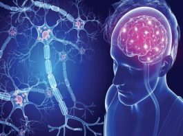 Σκλήρυνση Κατά Πλάκας