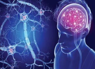 Σκλήρυνση Κατά Πλάκας