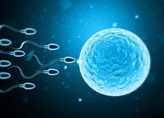 αντισυλληπτικό