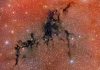Circinus West