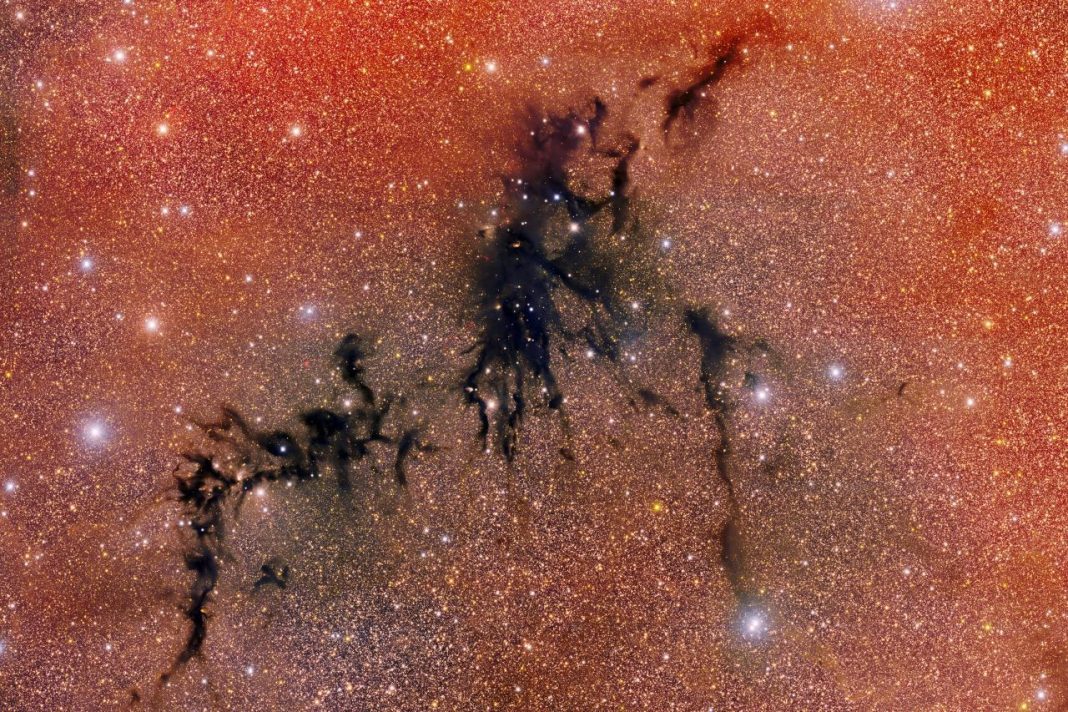 Circinus West