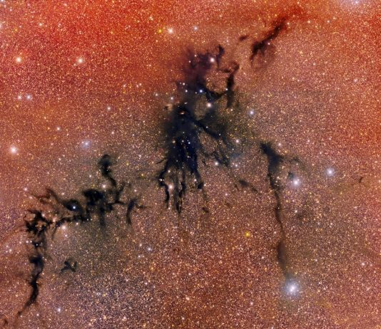 Circinus West