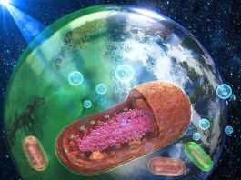 χρώμα ωκεανών