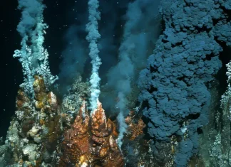 ρίγες ζέβρας πυθμένας ωκεανός