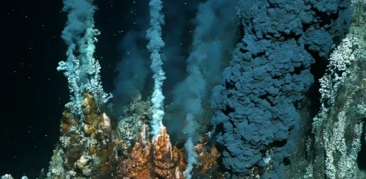 ρίγες ζέβρας πυθμένας ωκεανός