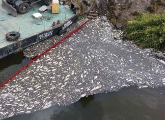 οξυγόνο ανησυχητικά επίπεδα