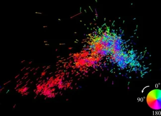 Μικρό Νέφος του Μαγγελάνου