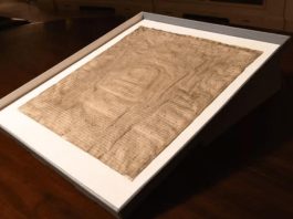 Magna Carta
