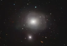 NGC-3640