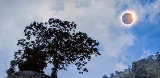 δέντρα έκλειψη