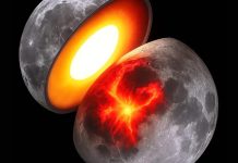δεδομένα βαρύτητας NASA