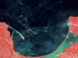 Βαλτική ωκεανός ουσία