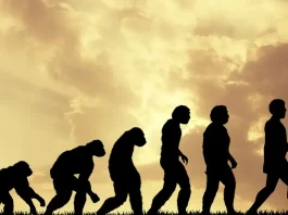 Υπάρχει ένα μέρος όπου η ανθρώπινη εξέλιξη συμβαίνει μπροστά στα μάτια μας