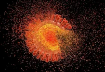 HIV