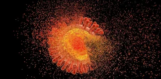 HIV