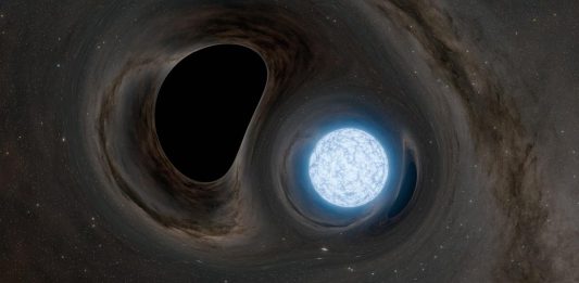 Μαύρη Τρύπα καταβροχθίζει αστέρα νετρονίων σε μια τρομακτική προσομοίωση