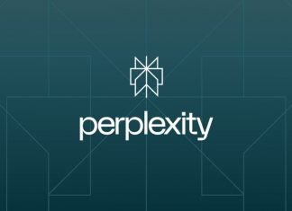 Perplexity