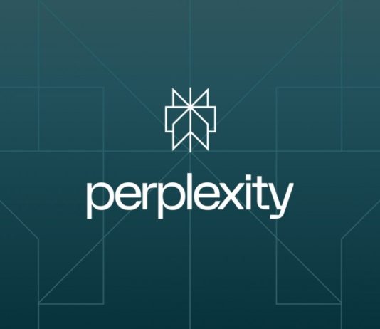 Perplexity