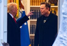 trump musk
