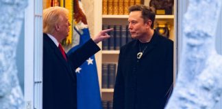 trump musk