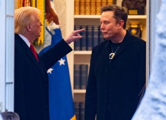 trump musk