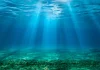 CO2 Ocean
