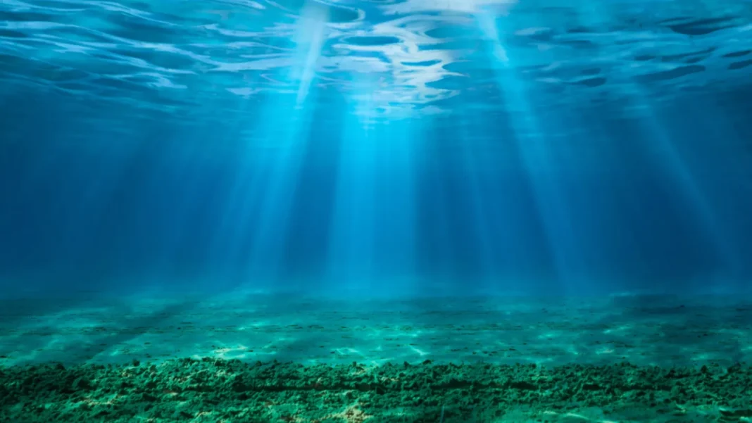 CO2 Ocean