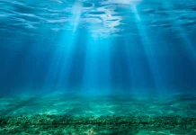 CO2 Ocean